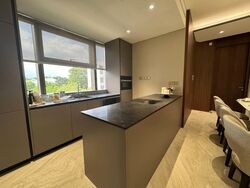 Robin Residences (D10), Condominium #553370231